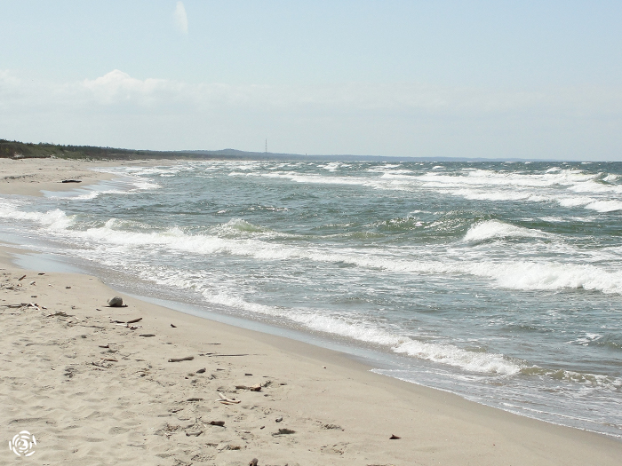 Балтийское море. Пяски